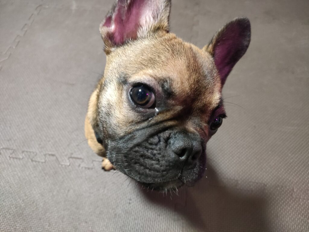 「君の人生、どんな表情？」